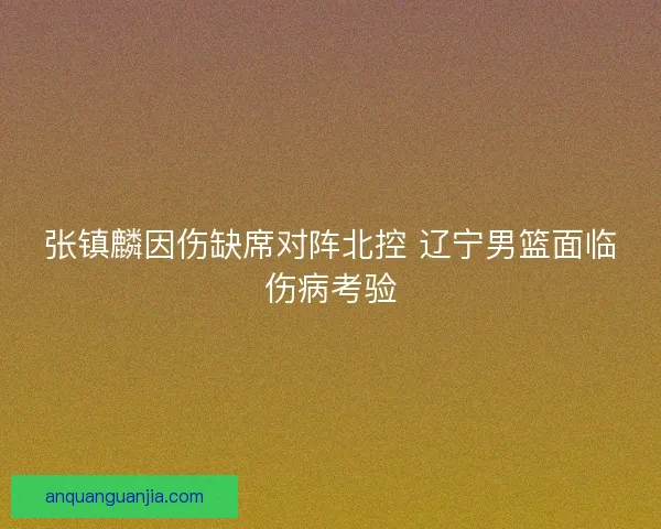 张镇麟因伤缺席对阵北控 辽宁男篮面临伤病考验